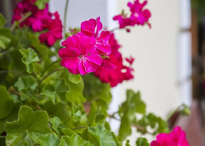 Slemensek Landhaus Vojnik